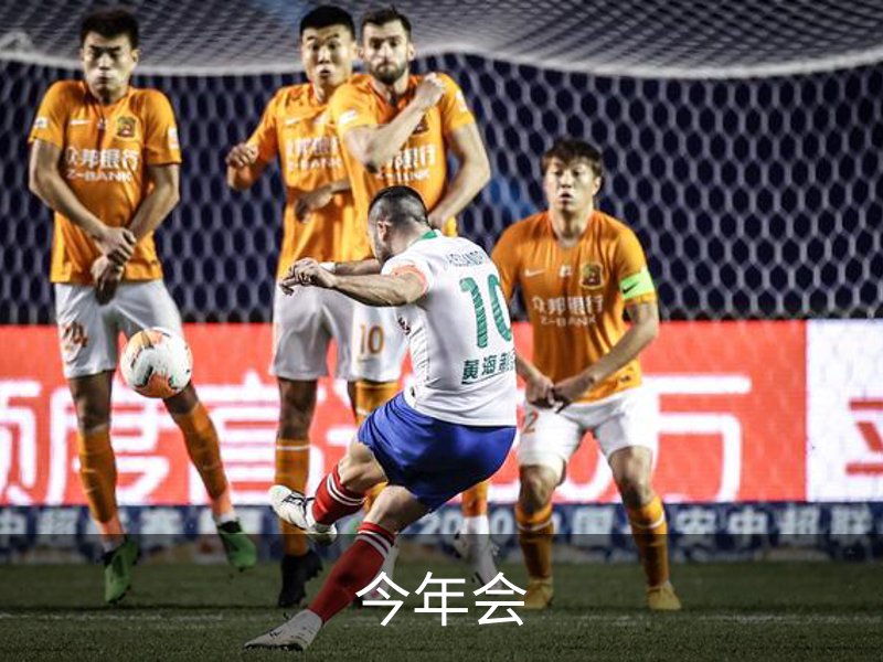 今年会简介